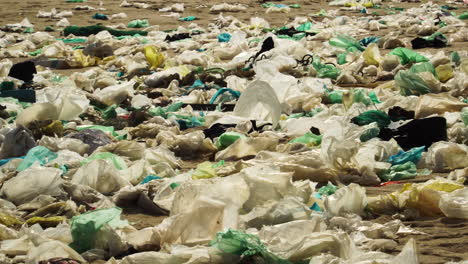 Cierre-De-Bolsas-De-Plástico-Esparcidas-En-La-Playa-Vietnamita,-Volando-En-El-Viento