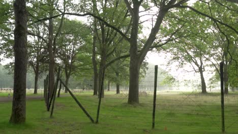 Tranquil park with historical fence