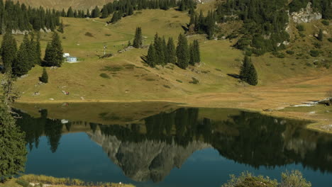 Closeup-of-nature-with-a-house-by-the-lake