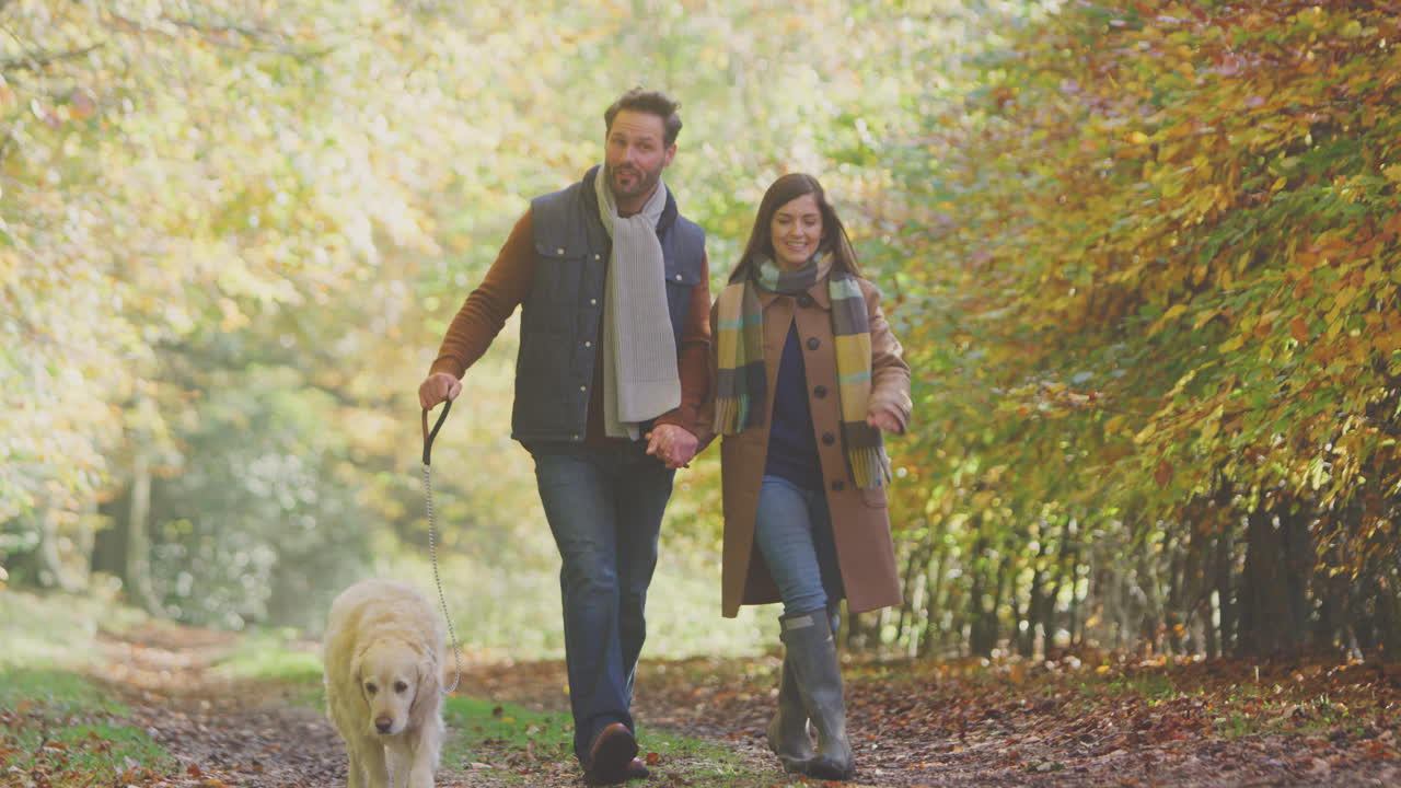 una pareja toma a un perro golden retriever de mascota para caminar por la pista en el campo de otoño tomados de la mano