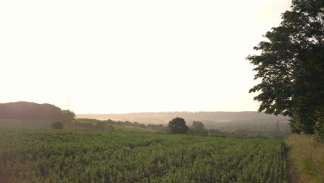 sunset over a field in the countryside