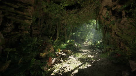 un camino a través de una cueva de la selva exuberante