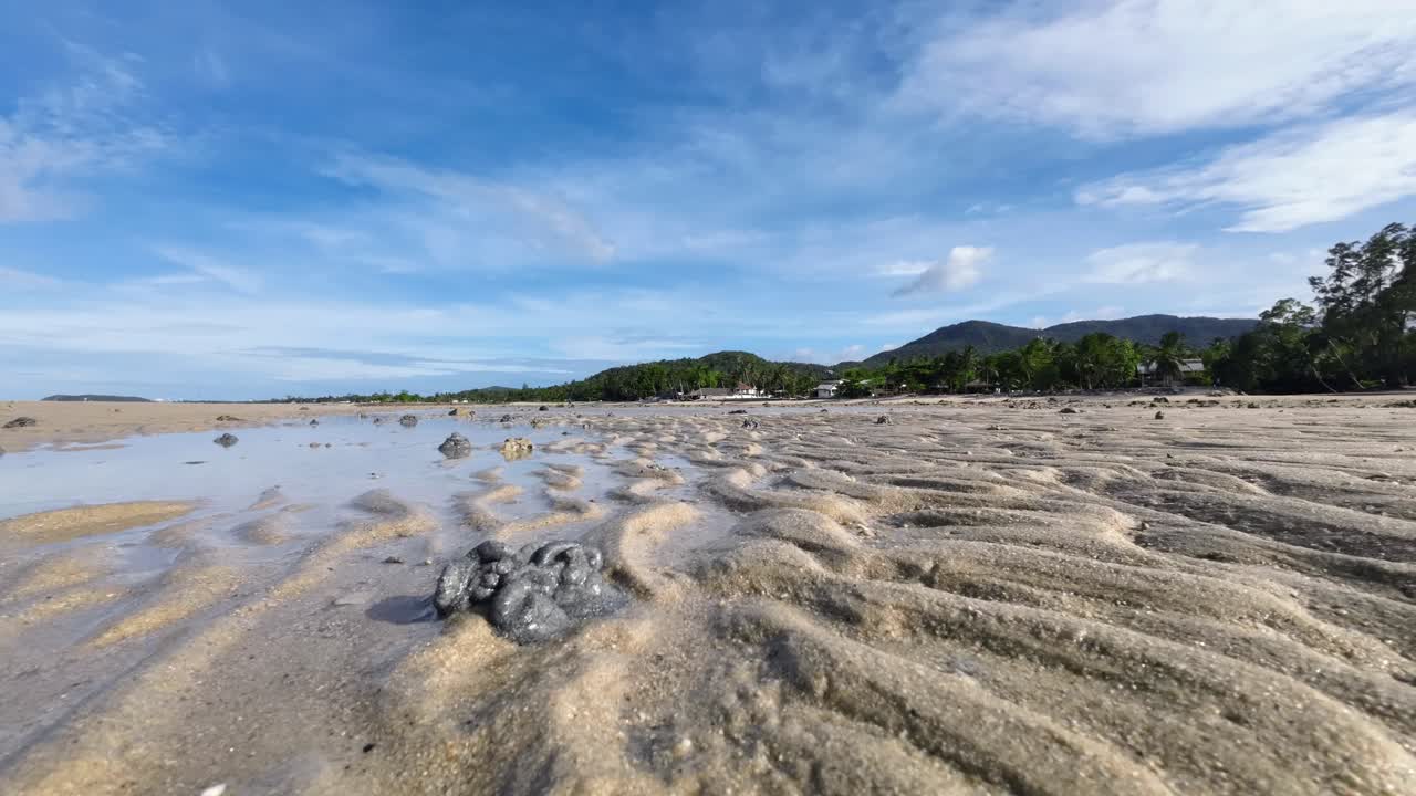 Time lapse video of marine worms leaving sand poop hills on a tropical beach in Koh Phangan Thailand during low tide, showing unique coastal patterns and natural ecosystem