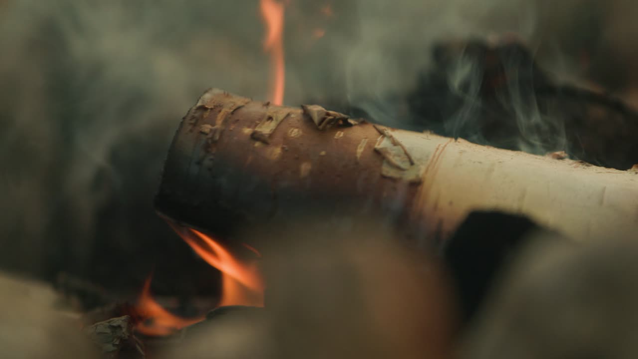 White birch tree burning in slow motion