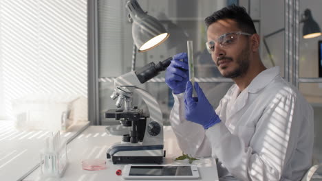 male biology researcher with gm plant