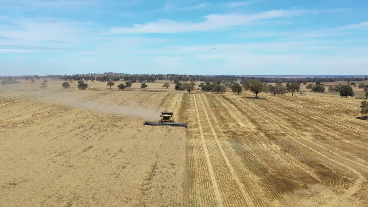 An Excellent Aerial Shot Of A Farming Combine Raising Dust And Cutting Through A Field In Parkes, New South Wales, Australia