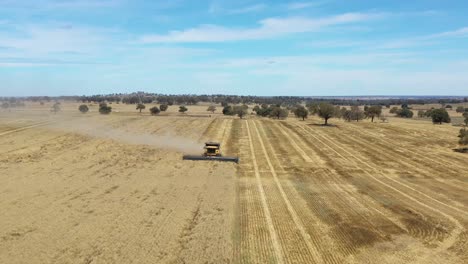 Una-Excelente-Toma-Aérea-De-Una-Cosechadora-Agrícola-Levantando-Polvo-Y-Cortando-Un-Campo-En-Parkes,-Nueva-Gales-Del-Sur,-Australia