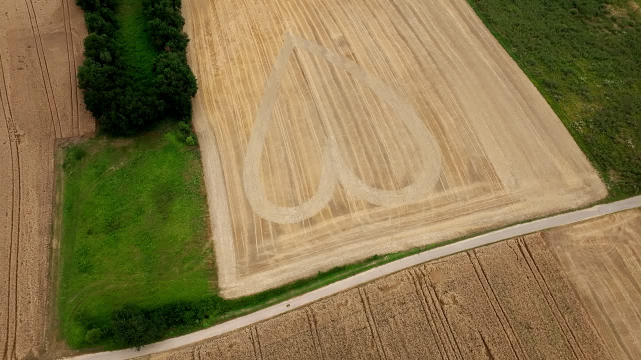 patrón en forma de corazón visto en un campo de grano - disparo de avión no tripulado