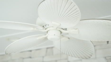 white modern design retro ceiling fan slowly rotating