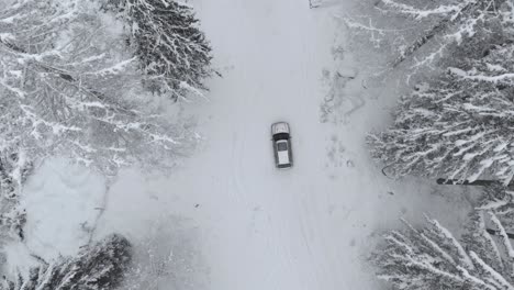 aerial view overlooking a slow racing car on a road, in middle of snowy forest, winter, cloudy day - drone shot, top down, tracking