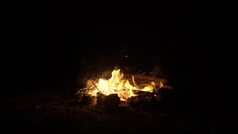 bonfire in the middle of the dark