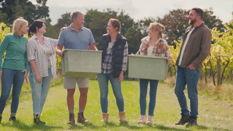 portrait of team of grape pickers at harvest working in vineyard producing wine