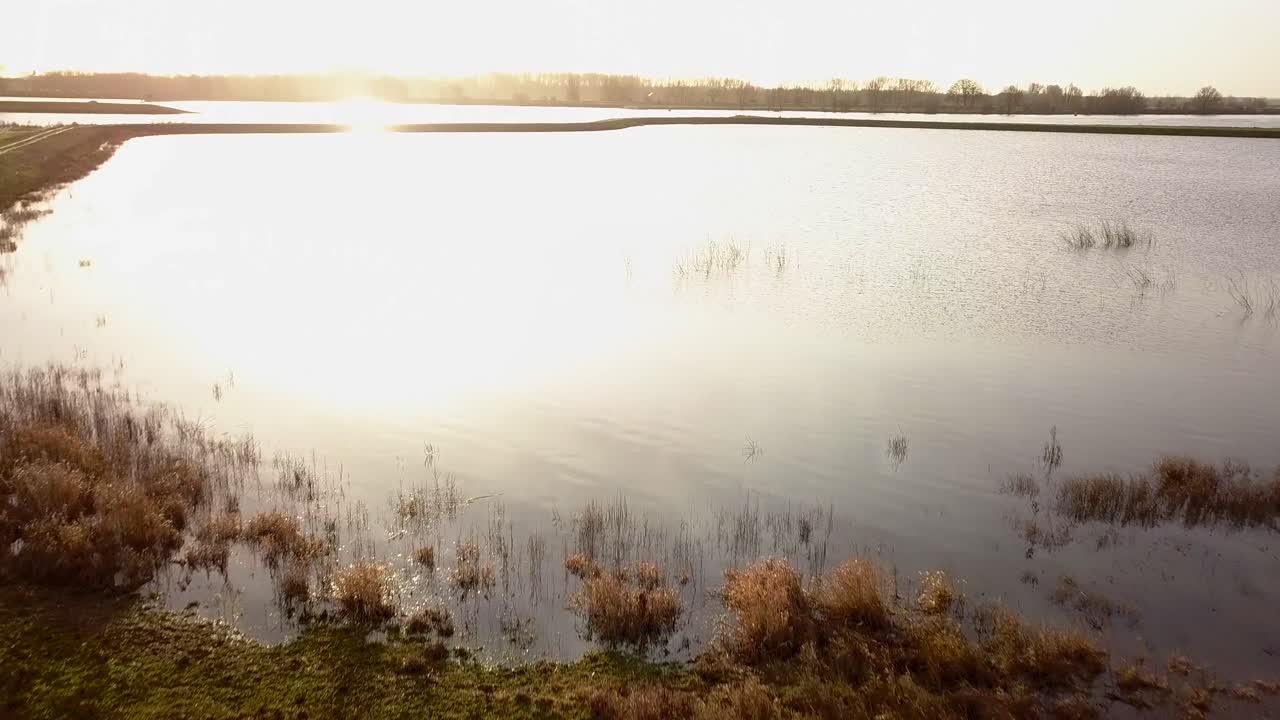 아침에 곧바로 강으로 날아가서 패닝