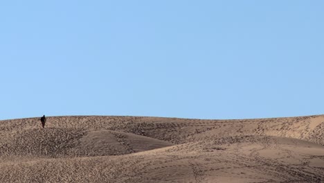 Die-Silhouette-Eines-Einsamen-Mannes,-Der-Durch-Die-Dünen-Schlendert