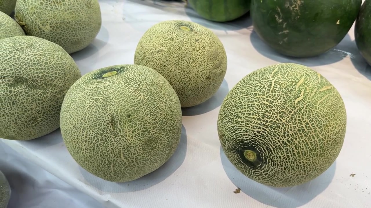 Fresh Cantaloupe Melons Displayed on a Market Shelf