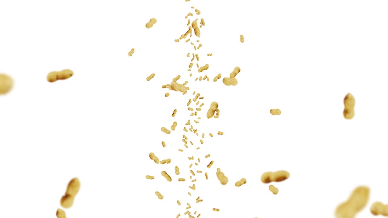 색 배경에 많은 땅콩을 날리는. 원시 땅콩. 데기 안의 땅콩. 건강한 유기농 음식. 씨 회전의 3d 루프 애니메이션.