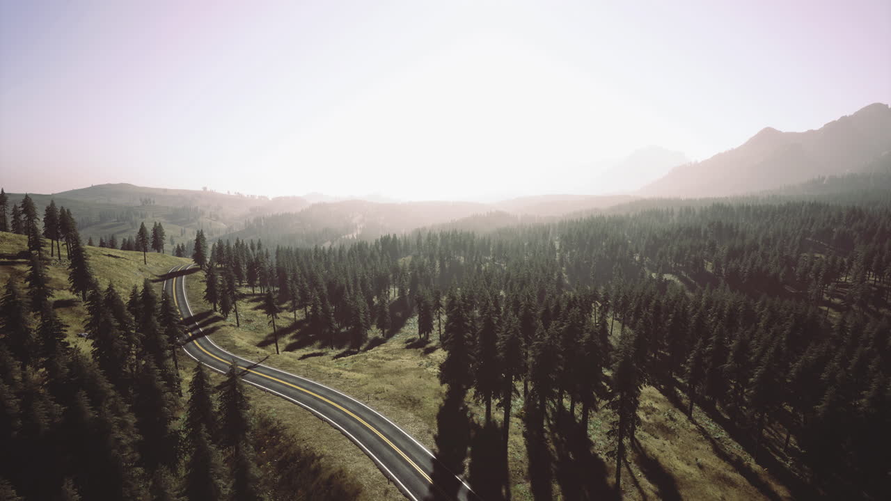 Scenic winding road through lush green forests at sunrise in the mountains