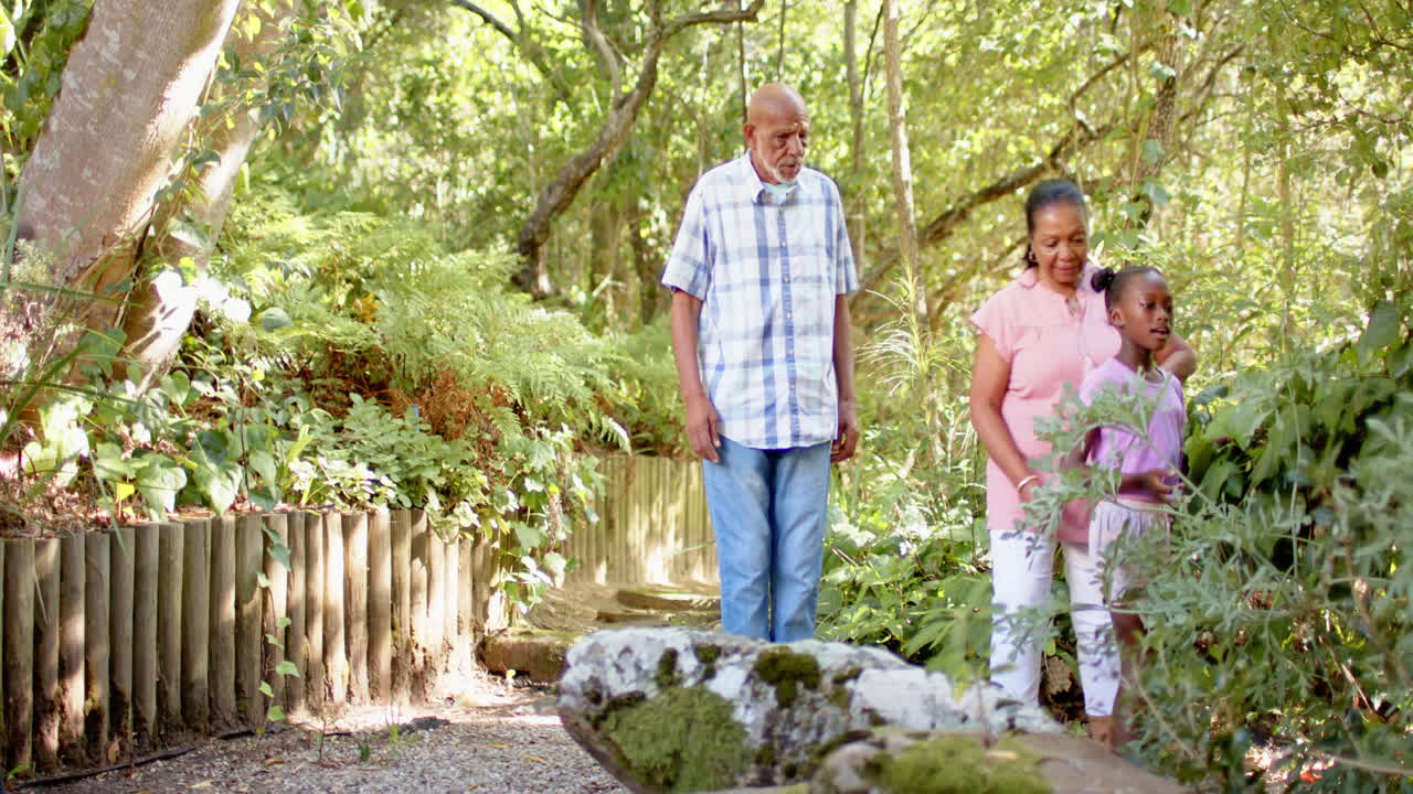 Diverse grandparents and granddaughter enjoying nature walk in lush green forest