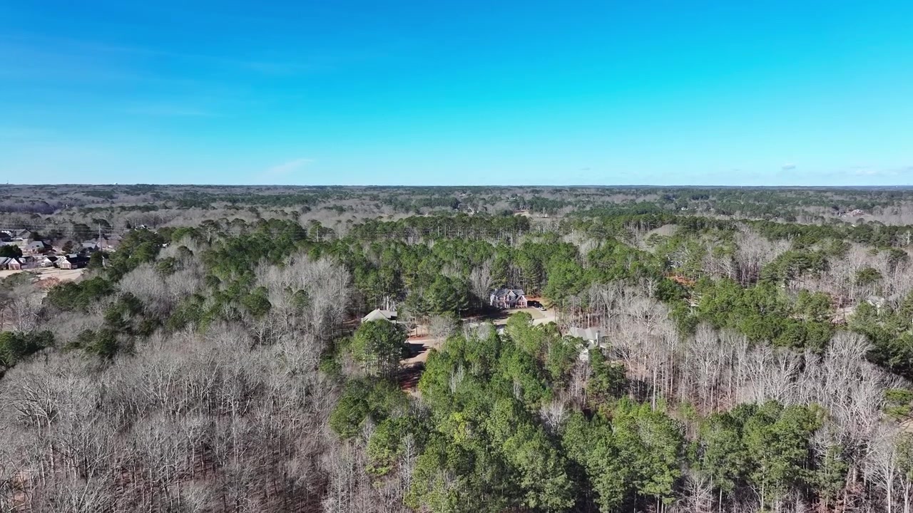 Casas suburbanas de Atlanta enclavadas entre densos pinos y bosques caducifolios desnudos con caminos de tierra roja y un vasto horizonte arbolado bajo un cielo azul brillante y despejado. Georgia, EE. UU. Plano aéreo de aproximación