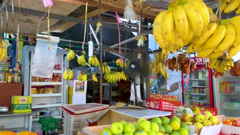 assorted mangoes, papayas, bananas, and citrus fruits arranged in crates and hanging bunches at a vibrant open-air fruit market under natural daylight with a slow camera pan