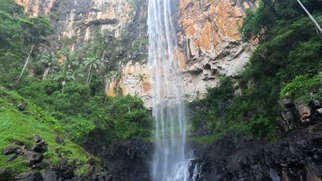 waterfall cascading in lush green forest setting