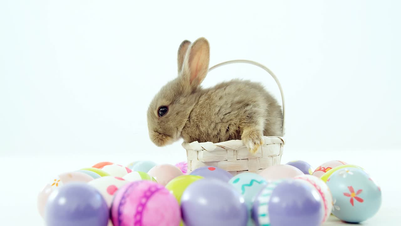 Easter eggs and Easter bunny in wicker basket
