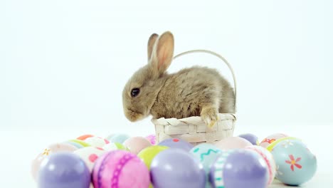 Huevos-De-Pascua-Y-Conejito-De-Pascua-En-Canasta-De-Mimbre