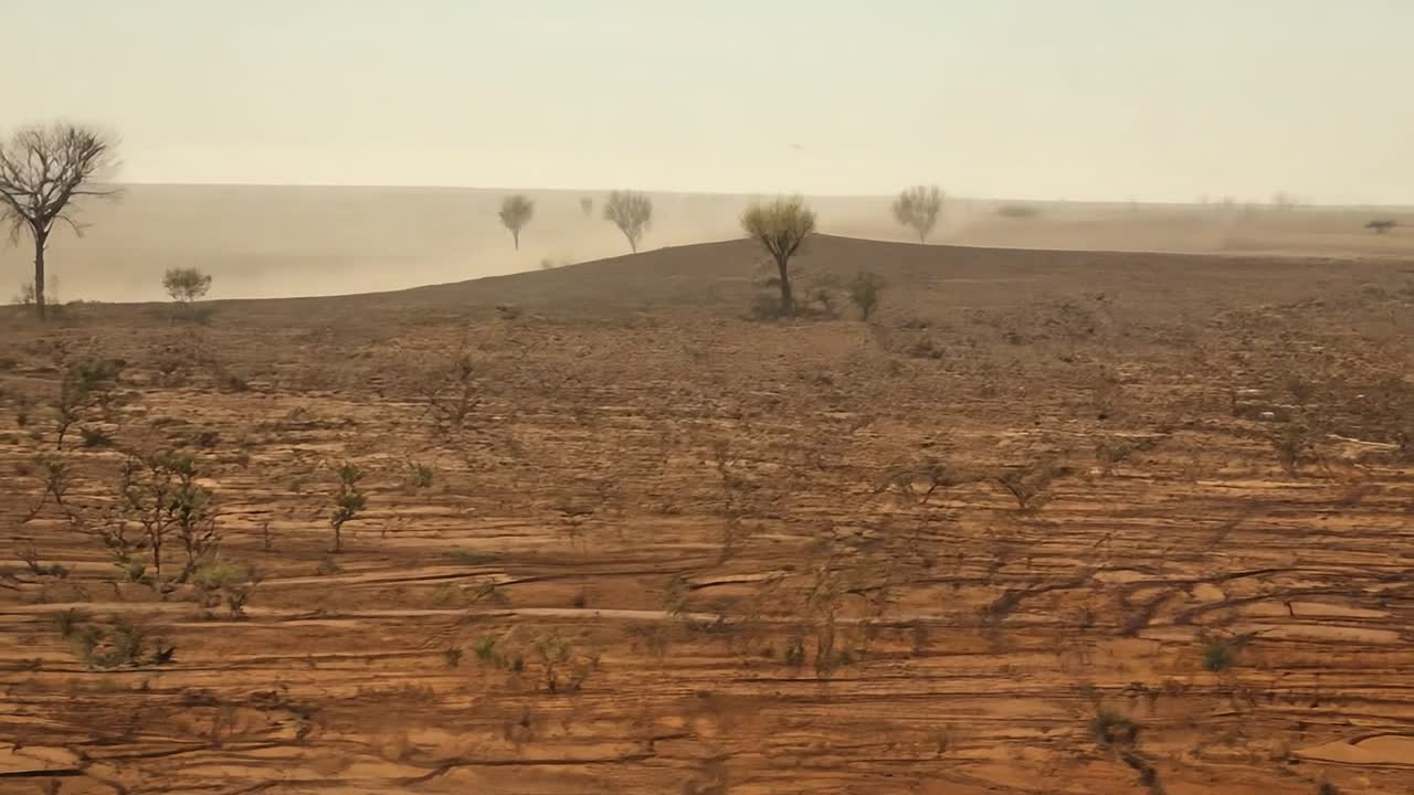 vista aérea de un paisaje desértico seco con árboles esparcidos, mostrando los efectos de la sequía y las condiciones áridas en el medio ambiente