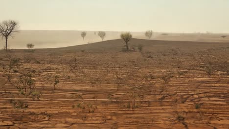 aerial view of a parched desert landscape with scattered trees, showcasing the effects of drought and arid conditions on the environment