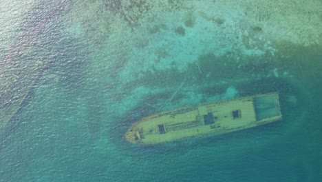 the shipwrecks the schooner sweepstakes in big tub harbour, bruce peninsula national park