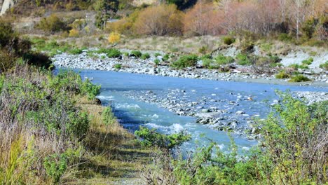 a tranquil river flows through lush greenery in glenorchy, new zealand, under bright natural light
