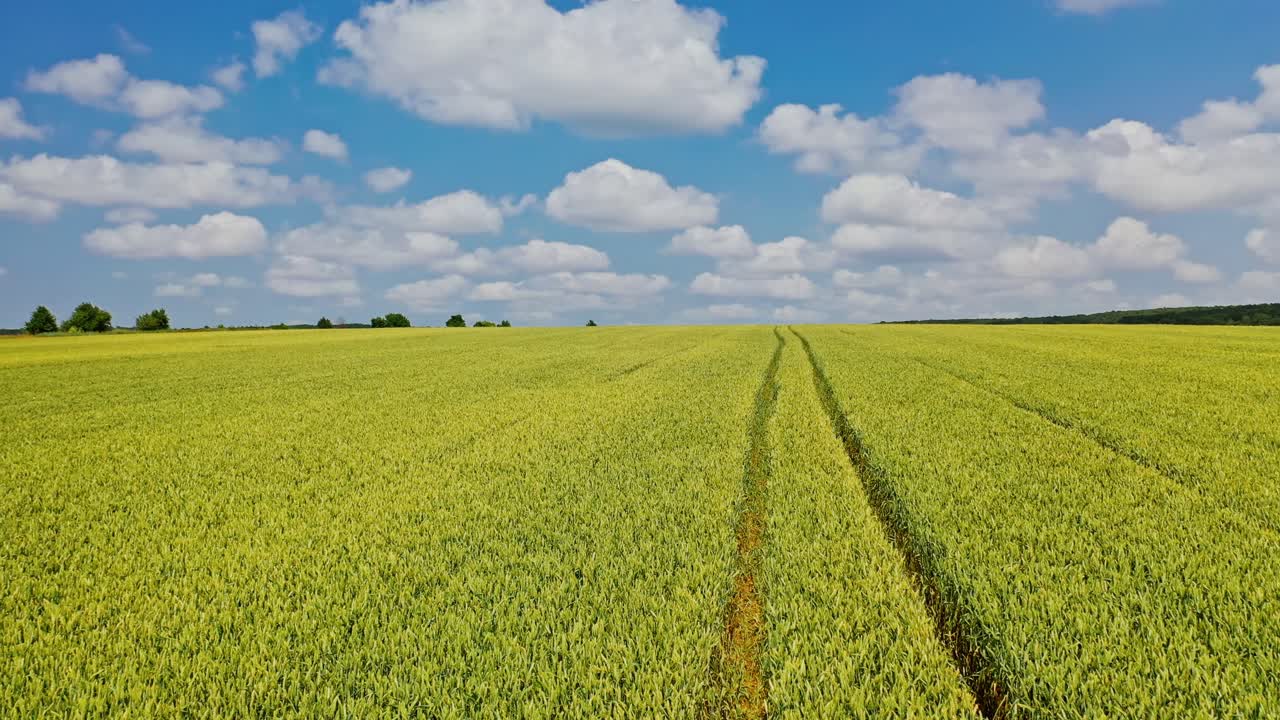 Drone fly over the field in spring. Plantation field of farmland under the blue sky with white clouds. Motion camera to the left.
