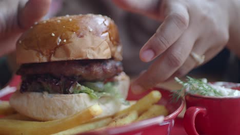 burger with fries and sauce
