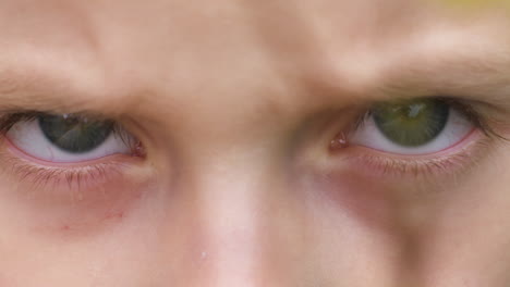 Close-up,-blue-eyed-little-boy-looking-angry-and-intense-through-tree-branches