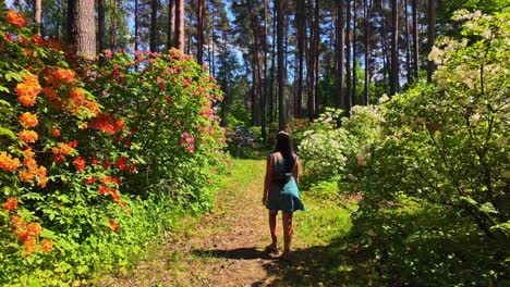 a woman walks on a scenic path through a vibrant forest filled with blooming flowers.