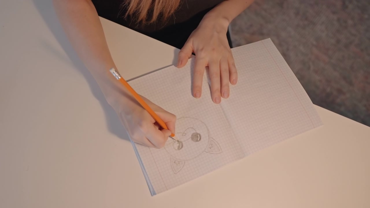 Young woman with long hair draws cat. Her left hand steadies notebook as woman works indoors. Drawing progresses from initial sketch to detailed eye shading showing woman
