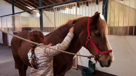 Indoor-Stall-Szene-Von-Niedlichen-Kleinen-Jungen-Mädchen-Mit-Roten-Haaren,-Die-Pferd-Bürsten