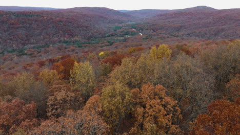 Follaje-Dorado-De-Otoño-En-El-Bosque-Cerca-De-Cedar-Flats-En-Banyard,-Arkansas,-Estados-Unidos