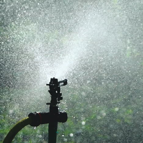 garden irrigation sprinkler watering lawn