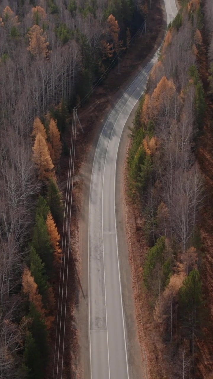 Veduta aerea zenitale di una strada asfaltata vuota e sinuosa che attraversa un bosco misto con i colori autunnali, con linee elettriche lungo il ciglio della strada, concetto di viaggio e natura.