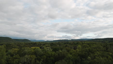 Toma-Aérea-Elevada-De-Un-Frondoso-Bosque-En-Durham-Arkansas,-De-Lado,-Día-Nublado