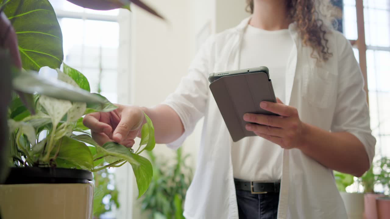 Un lavoratore afroamericano non binario tocca un tablet, ispezionando le foglie di una pianta in un negozio e confermando le cure.