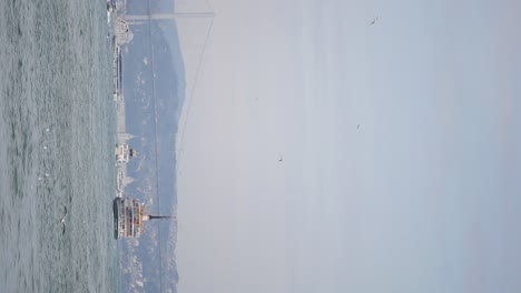 bosphorus strait ferry ride with bridge and seagulls in istanbul