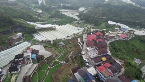 general landscape view of the brinchang district within the cameron highlands area of malaysia