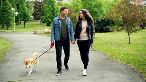 dolly shot of cheerful people students walking the dog in city park, guy is leading the dog and holding his girlfriend's hand. beautiful green grass and trees are around.