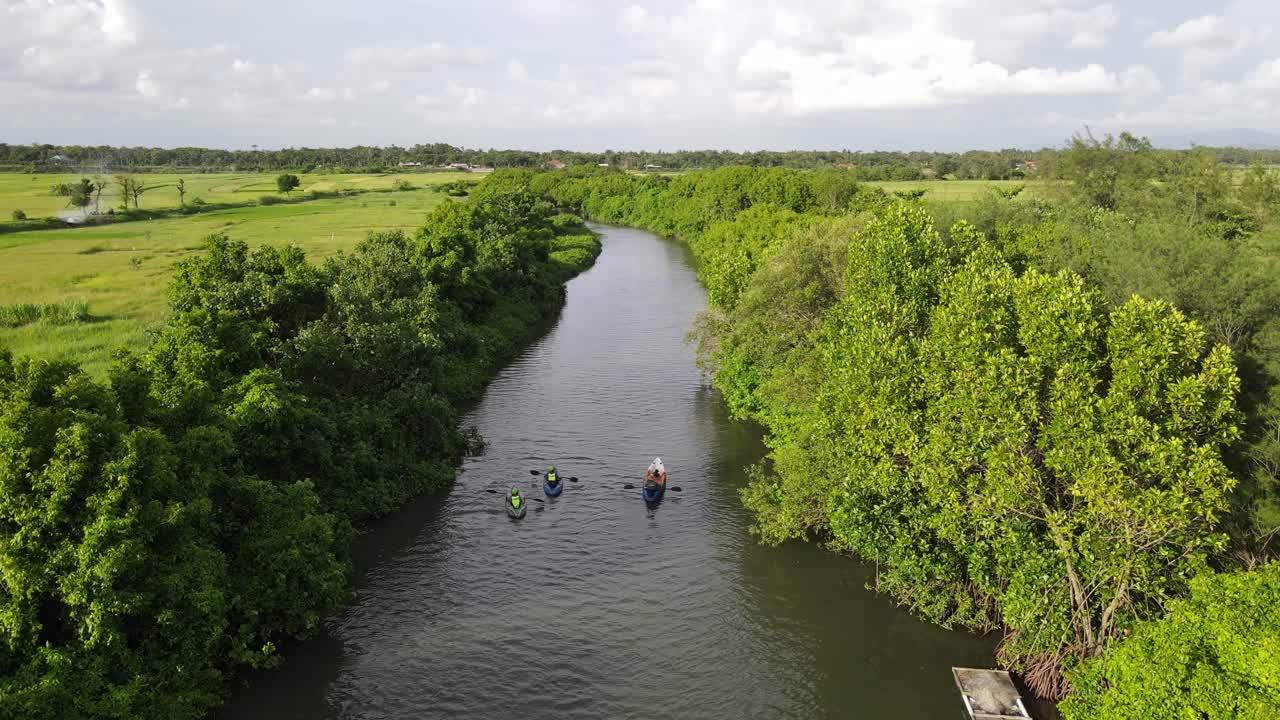 vista aérea, piragüismo en un río con gruesas orillas de árboles y campos de arroz