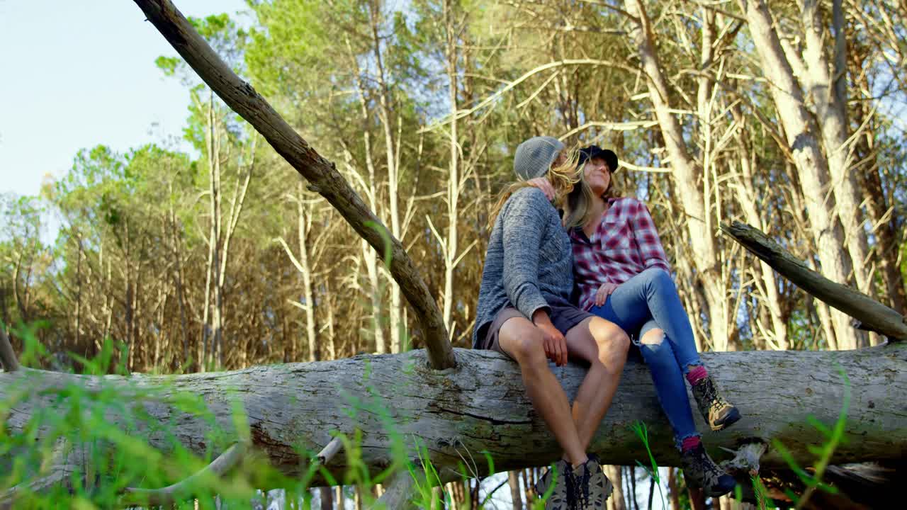 молодая романтическая пара целуется в лесу 4к