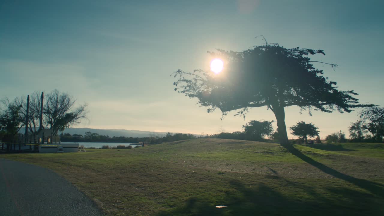 Silhuet af et træ med solen skinnende bagved og smuk himmel