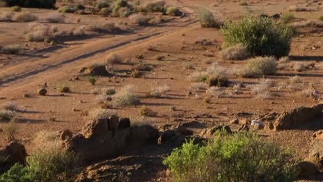 dry lands of the richtersveld national park, south africa