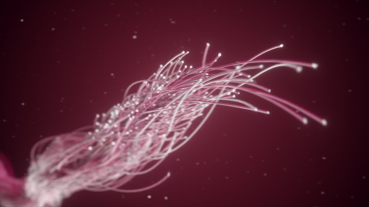 Abstrakte Pink og Røde Glødende Linjer